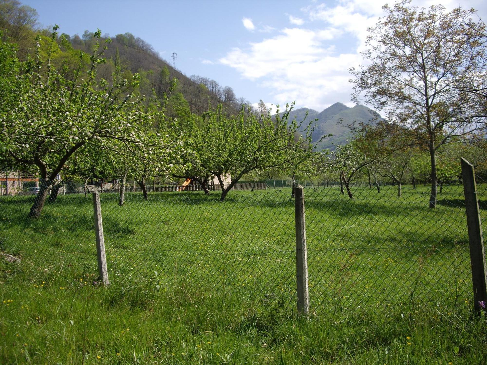 Casa Rural El Canton Cangas de Onis Bagian luar foto
