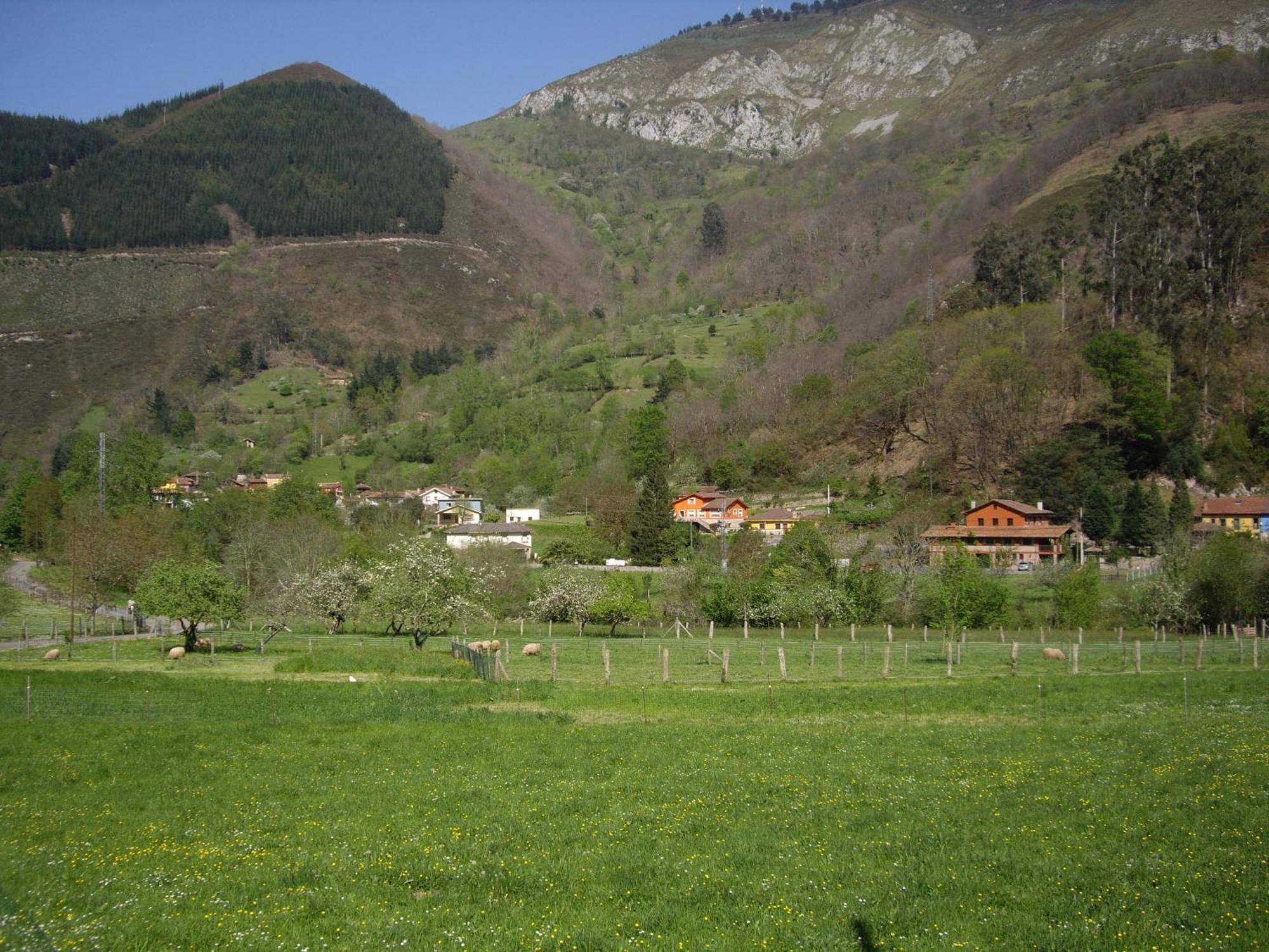 Casa Rural El Canton Cangas de Onis Bagian luar foto